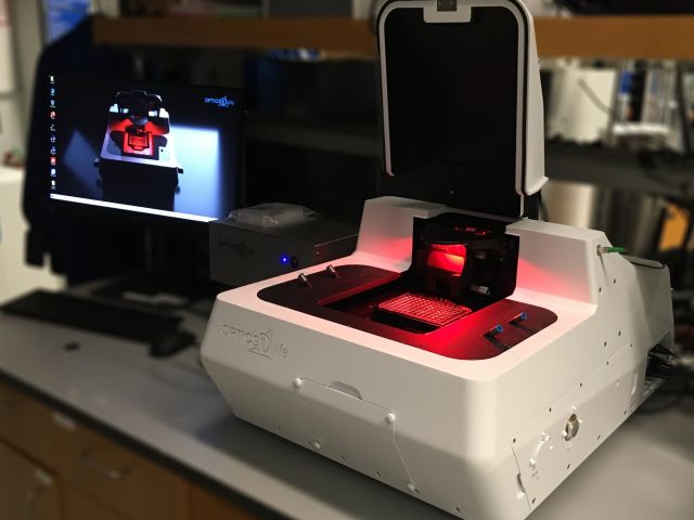 Optics11 Pavone